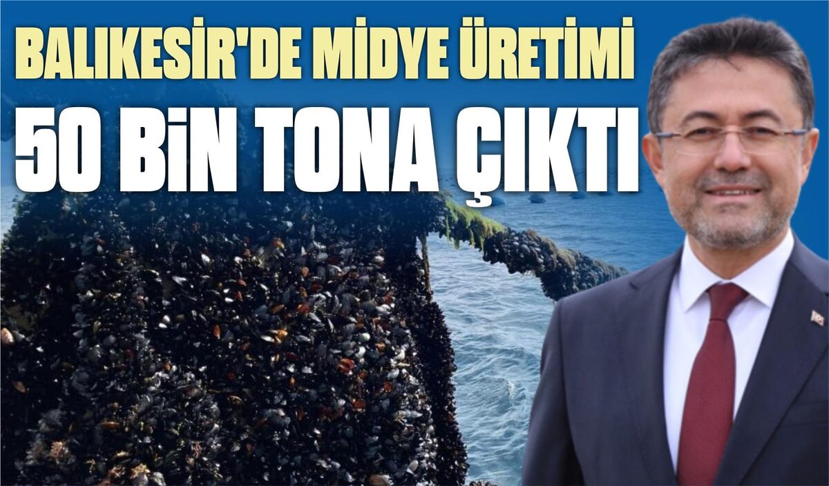 BALIKESİR’DE MİDYE ÜRETİMİ 50 BİN TONA ÇIKTI