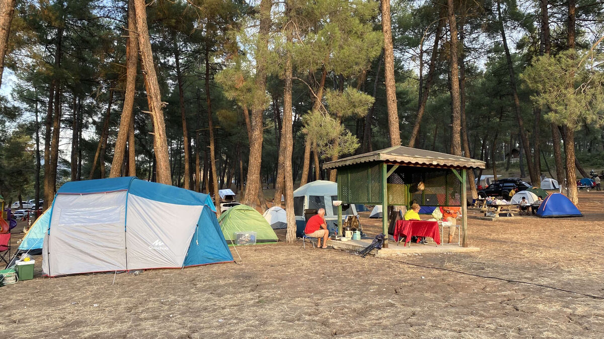 1729382713 729 Bursada doga tutkunlari Karagoz Senliklerinde bulustu - Marmara Bölge: Balıkesir Son Dakika Haberleri ile Hava Durumu