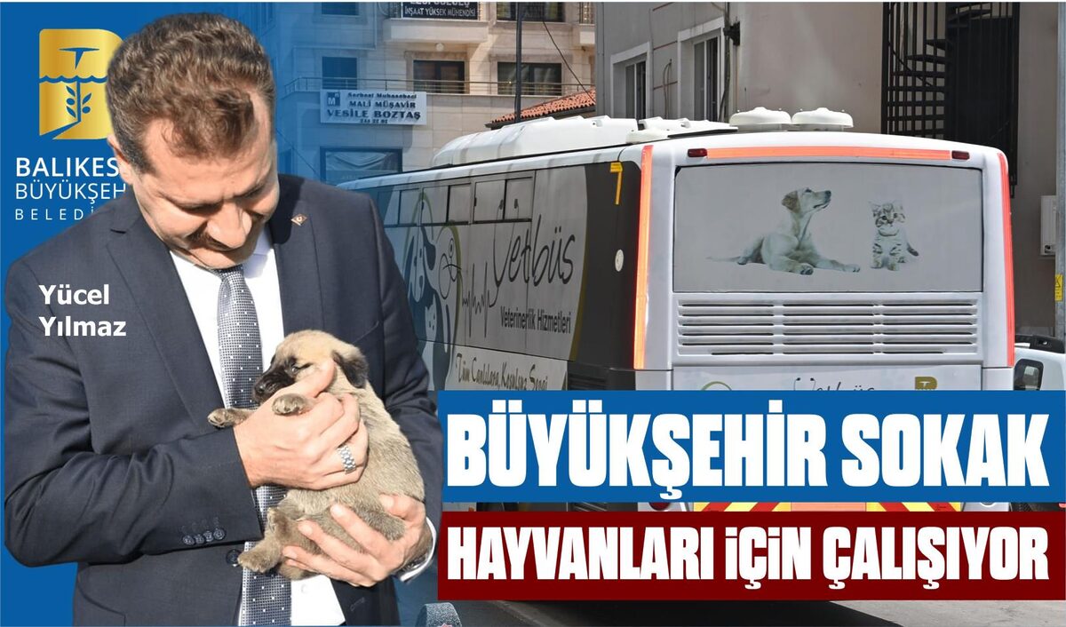 BÜYÜKŞEHİR SOKAK HAYVANLARI İÇİN ÇALIŞIYOR