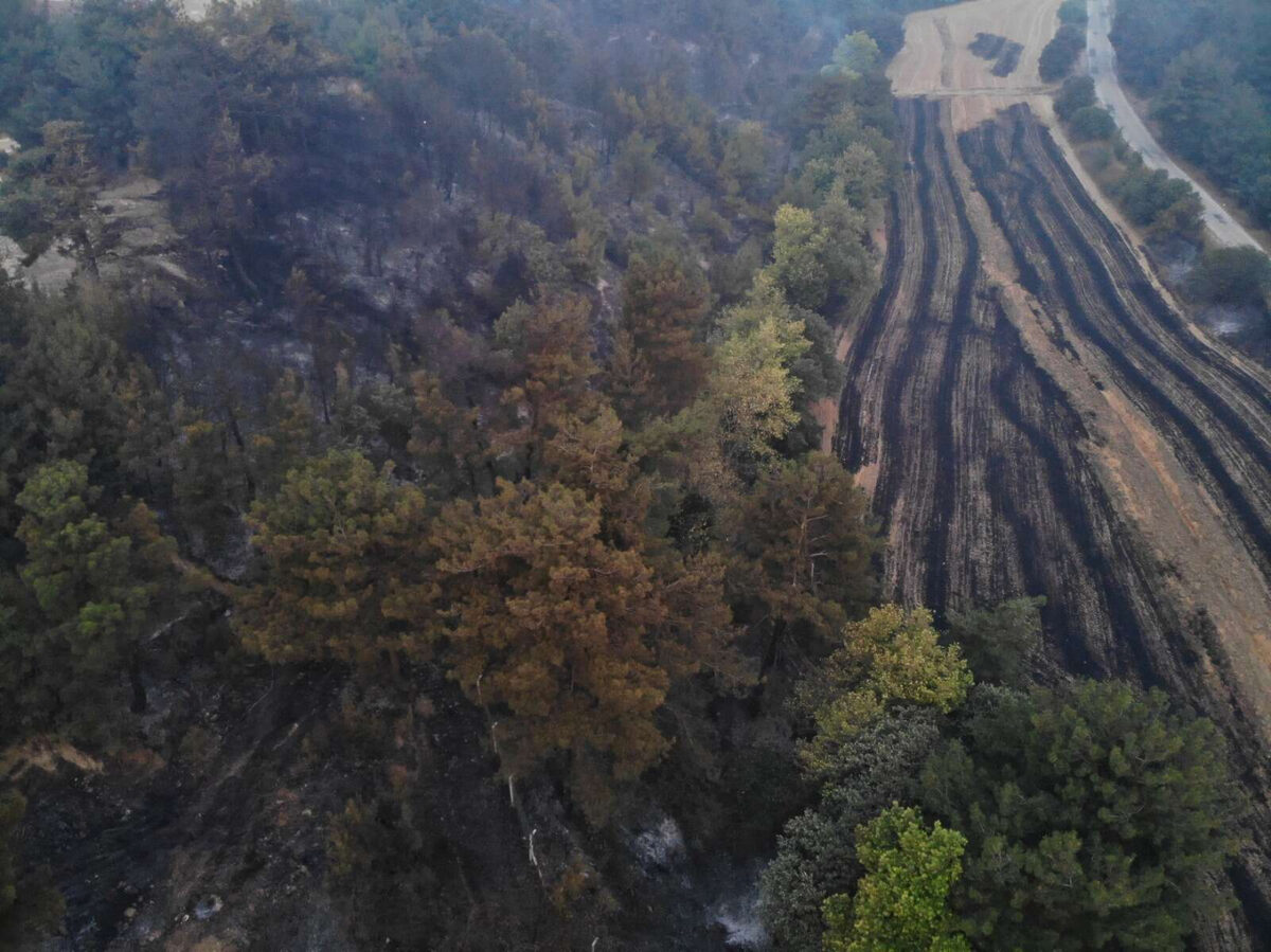 1729404689 217 Canakkalede alevler yayiliyor - Marmara Bölge: Balıkesir Son Dakika Haberleri ile Hava Durumu