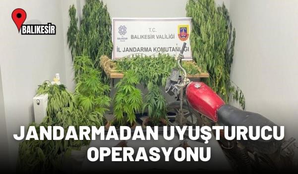 JANDARMADAN UYUŞTURUCU OPERASYONU