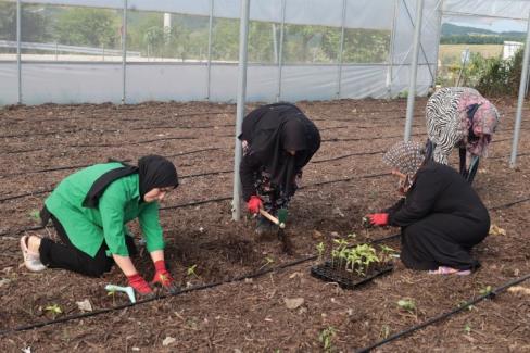 Kocaeli Büyükşehir Belediyesi, “Fikir