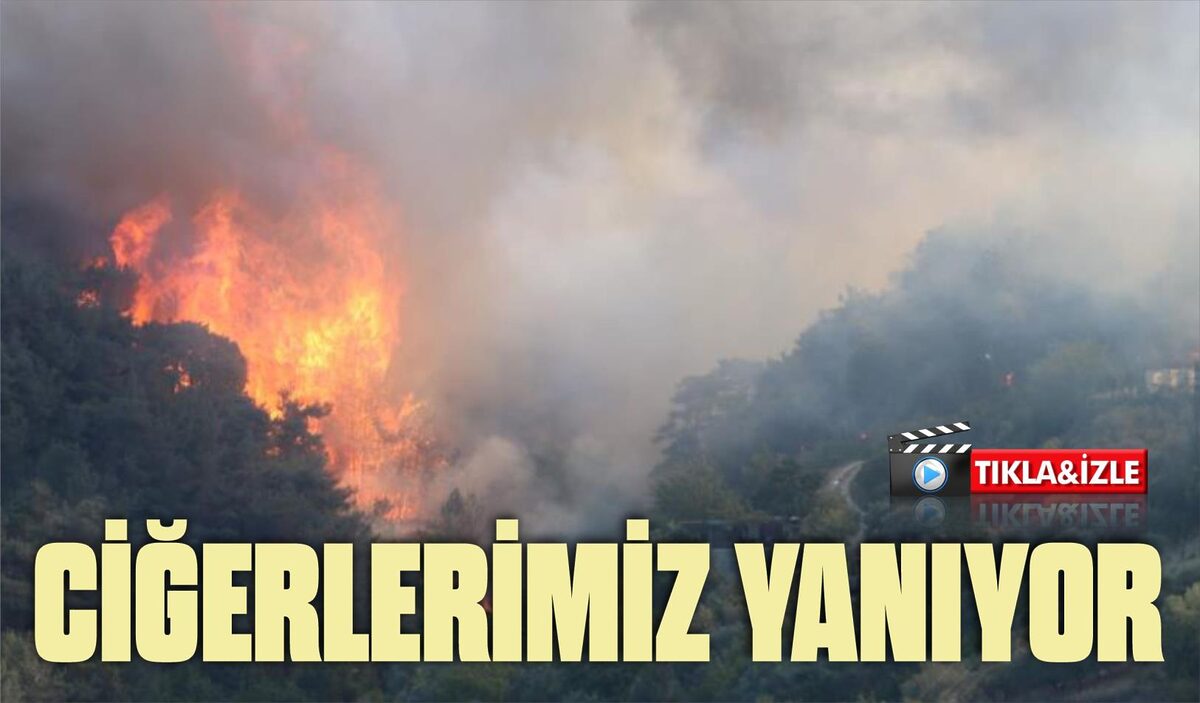 CİĞERLERİMİZ YANIYOR