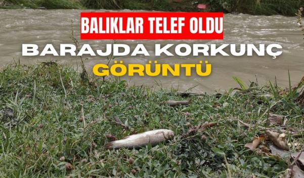 ALİBEY BARAJI’NDA KORKUNÇ GÖRÜNTÜ