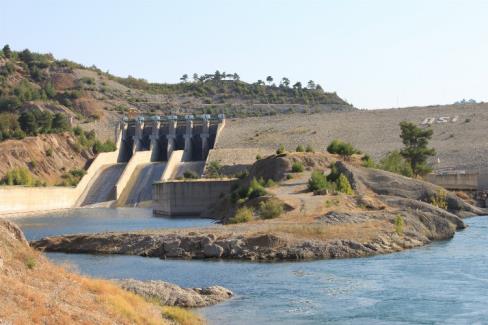 Tarım ve Orman Bakanı