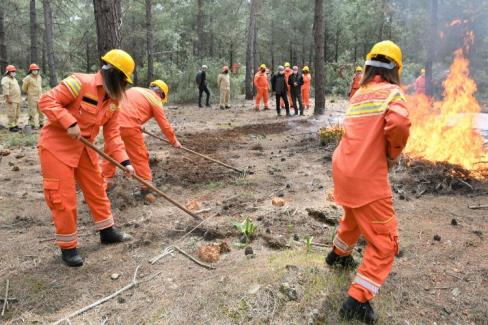 Sıcakların artmasıyla birlikte orman