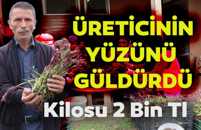 BU BİTKİ ÜRETİCİNİN YÜZÜNÜ GÜLDÜRDÜ