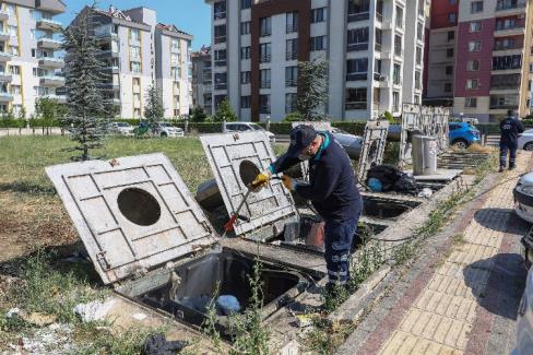 Bursa’da sinekle her yönden mücadele