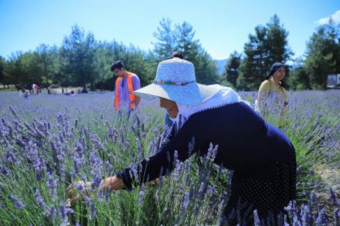 Muğla Büyükşehir Belediyesi’nin Menteşe