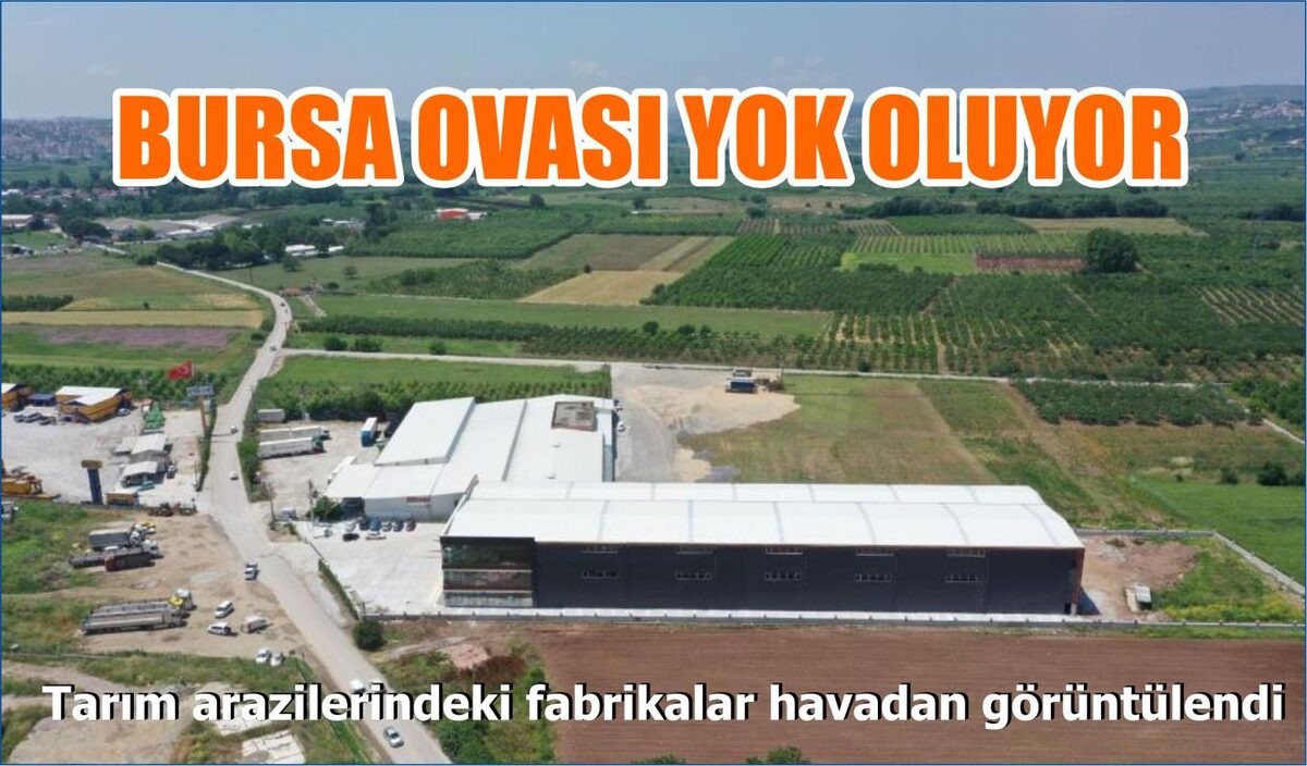 BURSA OVASI YOK OLUYOR