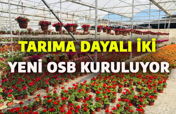 TARIMA DAYALI İKİ YENİ OSB KURULUYOR