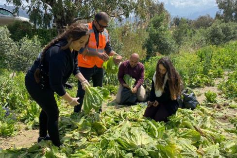 Hatay’da tarımsal üretimin sürmesi,