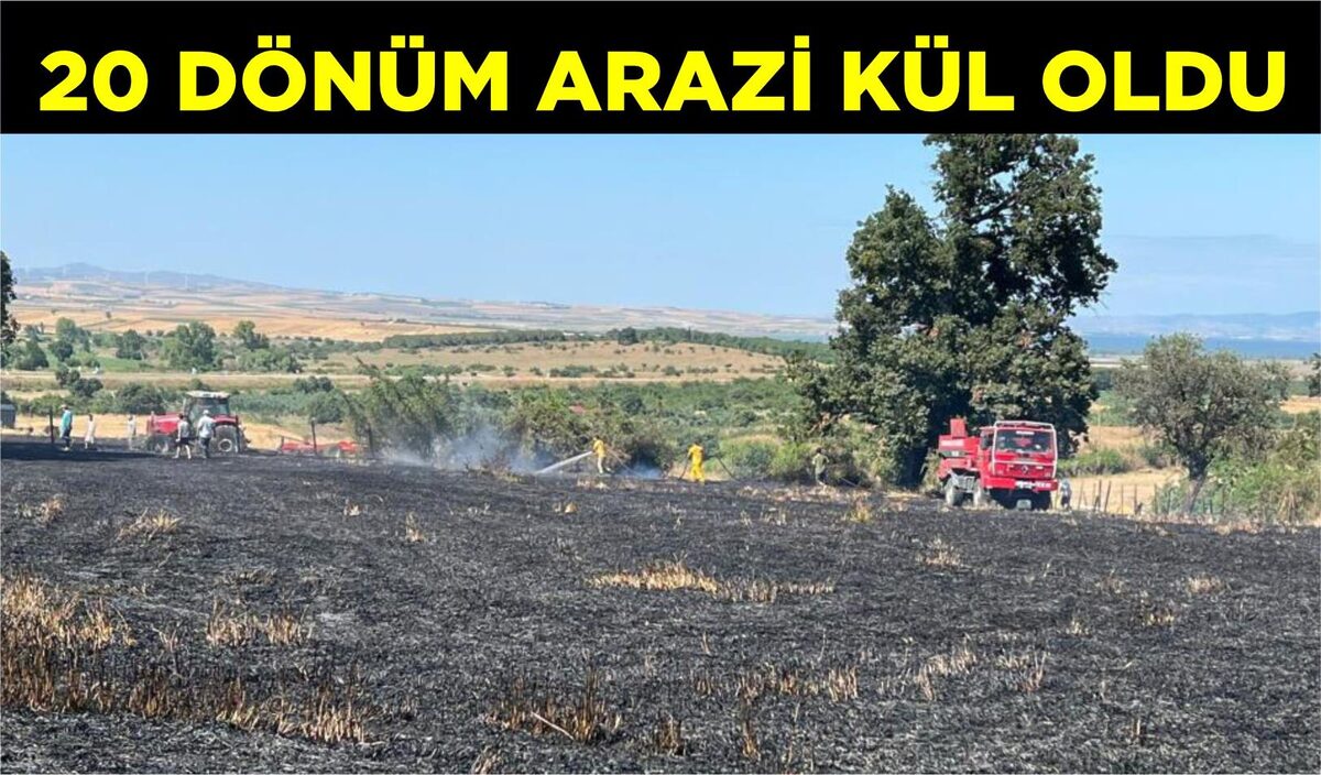 20 DÖNÜM ARAZİ KÜL OLDU