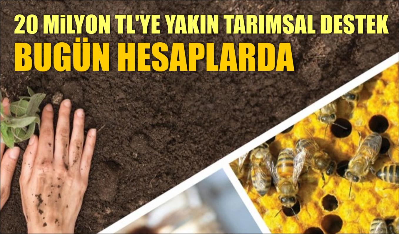 20 MİLYON TL’YE YAKIN TARIMSAL DESTEK BUGÜN HESAPLARDA