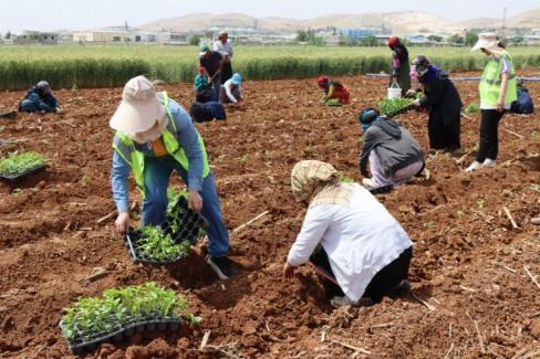 Şanlıurfa’nın tescilli yöresel lezzetlerinden