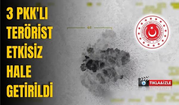 3 PKK'LI TERÖRİST ETKİSİZ HALE GETİRİLDİ