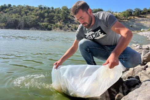 Manisa Büyükşehir Belediyesi, göletleri