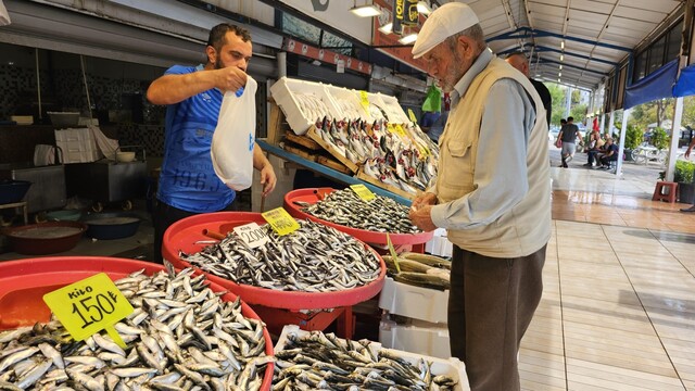 - Marmara Bölge: Balıkesir Son Dakika Haberleri ile Hava Durumu