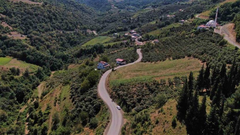 Samsun Büyükşehir Belediyesi, Canik