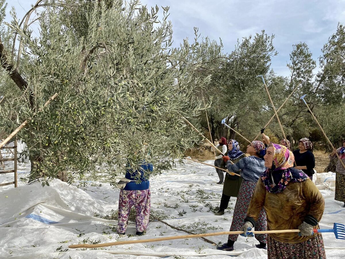 462775052 934356102068586 7405045142370247071 n - Marmara Bölge: Balıkesir Son Dakika Haberleri ile Hava Durumu