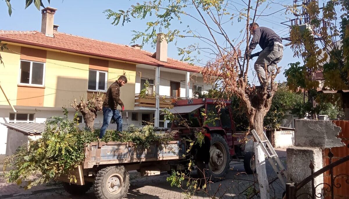 Bigadiç Belediyesi, ilçenin çevre