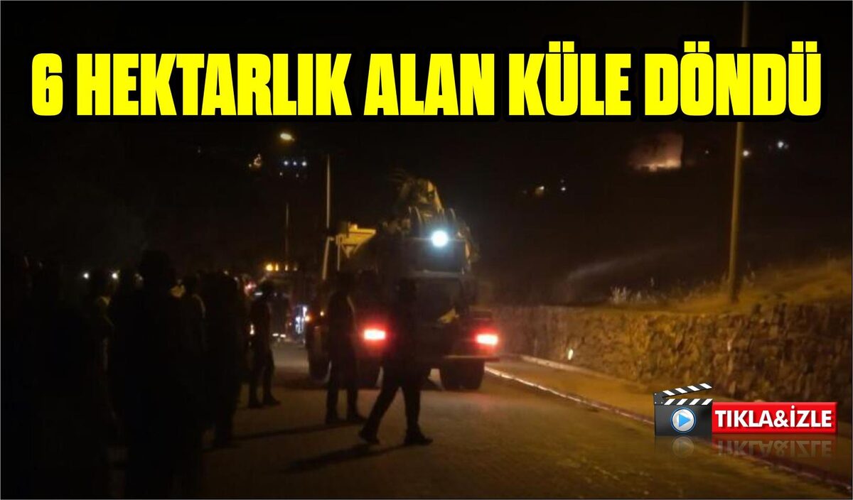 6 HEKTARLIK ALAN KÜLE DÖNDÜ