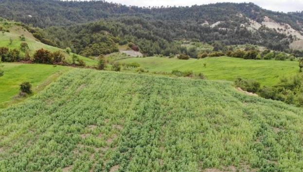 Manisa’nın Selendi ilçesinde İl