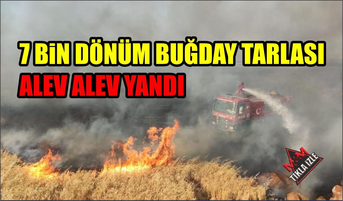 7 BİN DÖNÜM BUĞDAY TARLASI ALEV ALEV YANDI