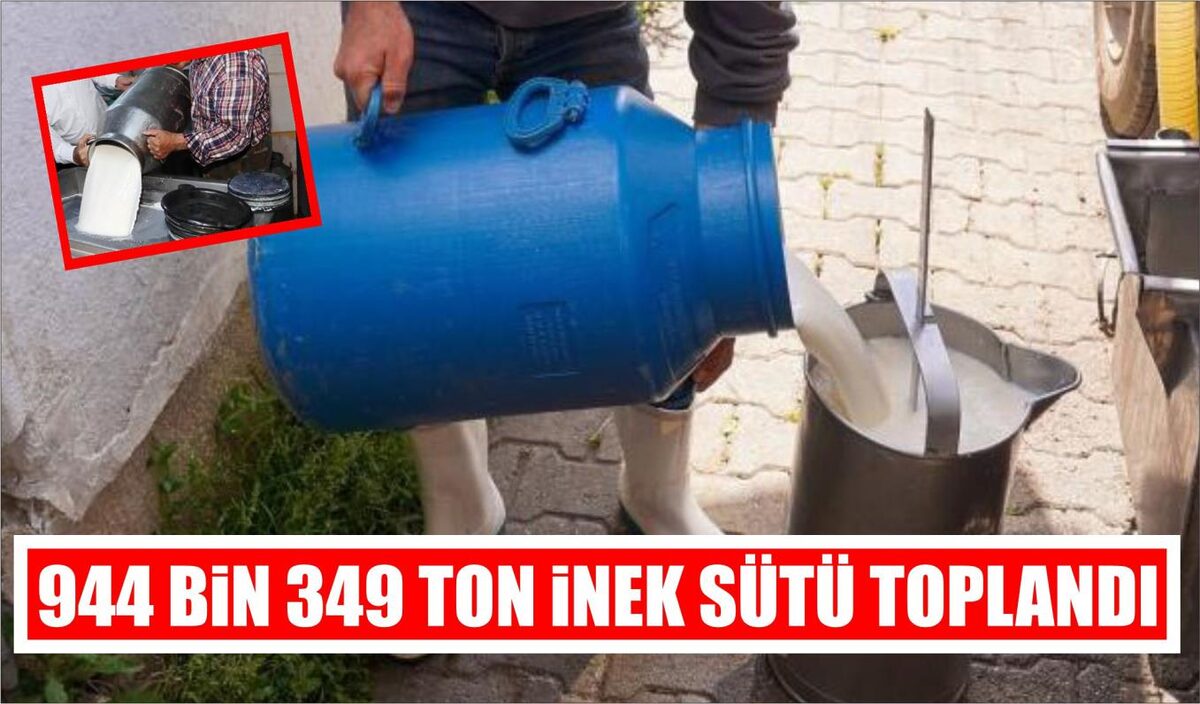 944 BİN 349 TON İNEK SÜTÜ TOPLANDI