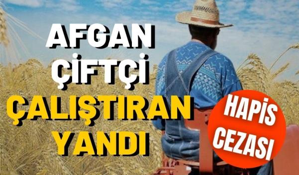 AFGAN ÇİFTÇİ ÇALIŞTIRAN YANDI