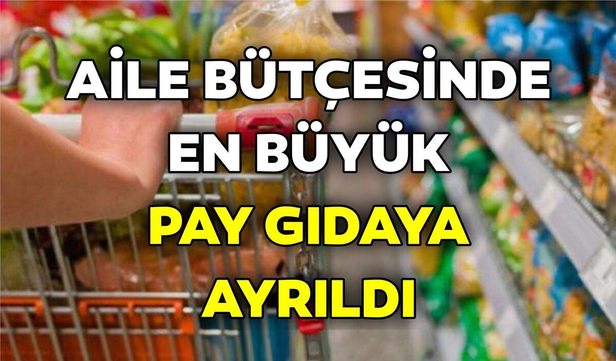 Hanehalkı bütçesinden en fazla