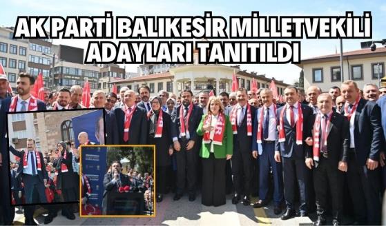 Şeyhlütfullah Camisi önünde saygı