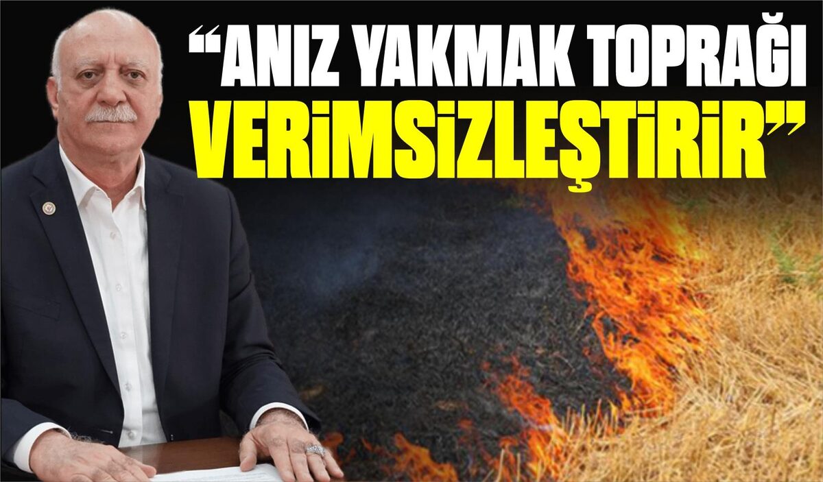 “ANIZ YAKMAK TOPRAĞI VERİMSİZLEŞTİRİR”