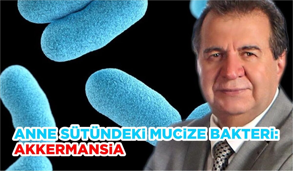 ANNE SÜTÜNDEKİ MUCİZE BAKTERİ: AKKERMANSİA