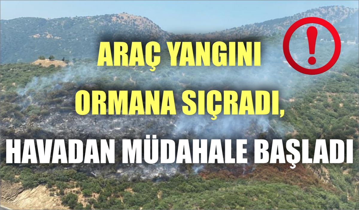 ARAÇ YANGINI ORMANA SIÇRADI, HAVADAN MÜDAHALE BAŞLADI  