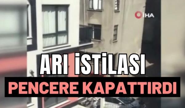 ARI İSTİLASI PENCERE KAPATTIRDI