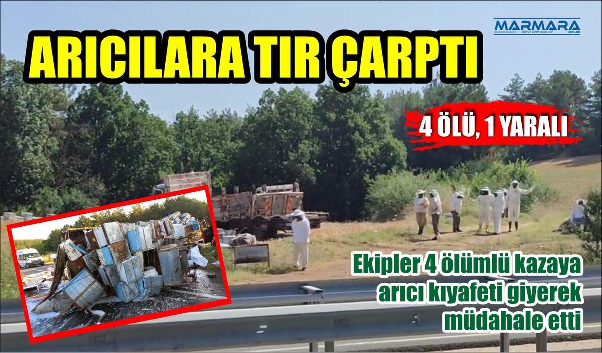 ARICILARA TIR ÇARPTI: 4 ÖLÜ, 1 YARALI  