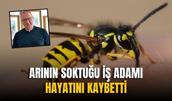 ARININ SOKTUĞU İŞ ADAMI HAYATINI KAYBETTİ