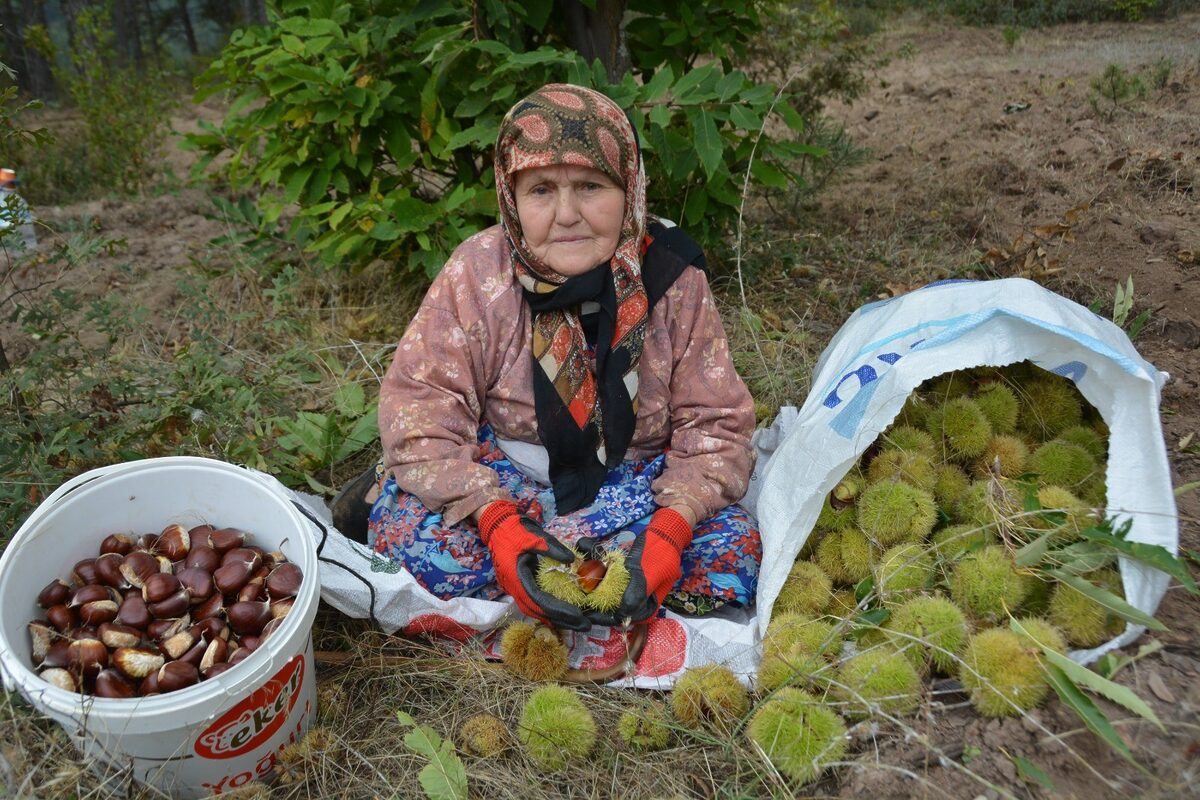 Balıkesir’in Bigadiç İlçesinde dağlık