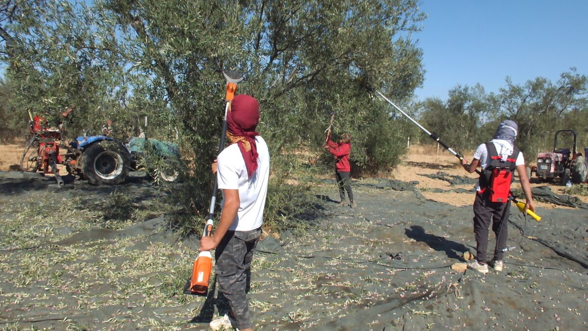 AW311910 05 - Marmara Bölge: Balıkesir Son Dakika Haberleri ile Hava Durumu