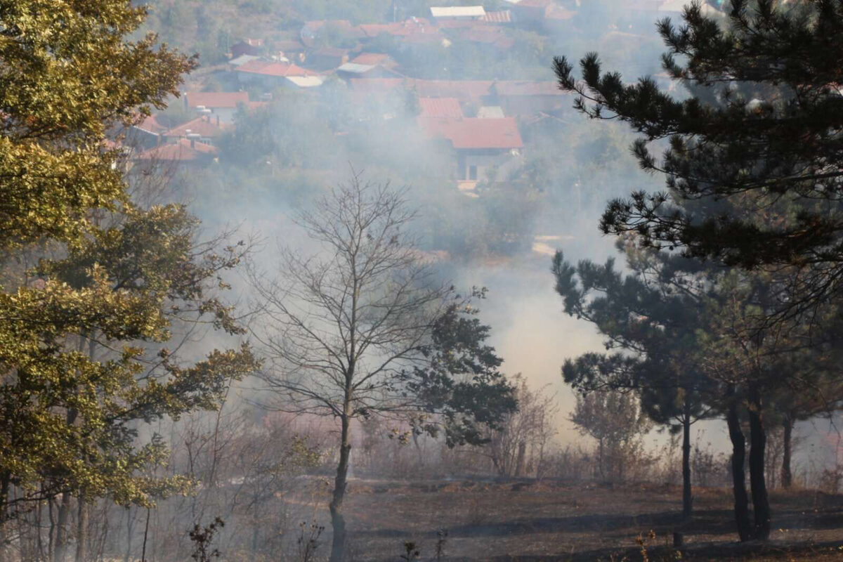 Arazi yangini ormanlik alana sicramadan sonduruldu - Marmara Bölge: Balıkesir Son Dakika Haberleri ile Hava Durumu