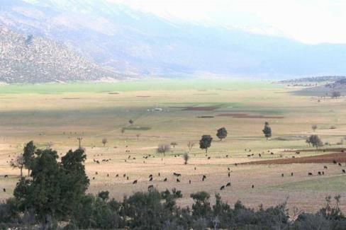 Antalya Büyükşehir Belediye Başkanı