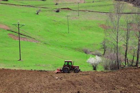 Ordu Büyükşehir Belediye Başkanı