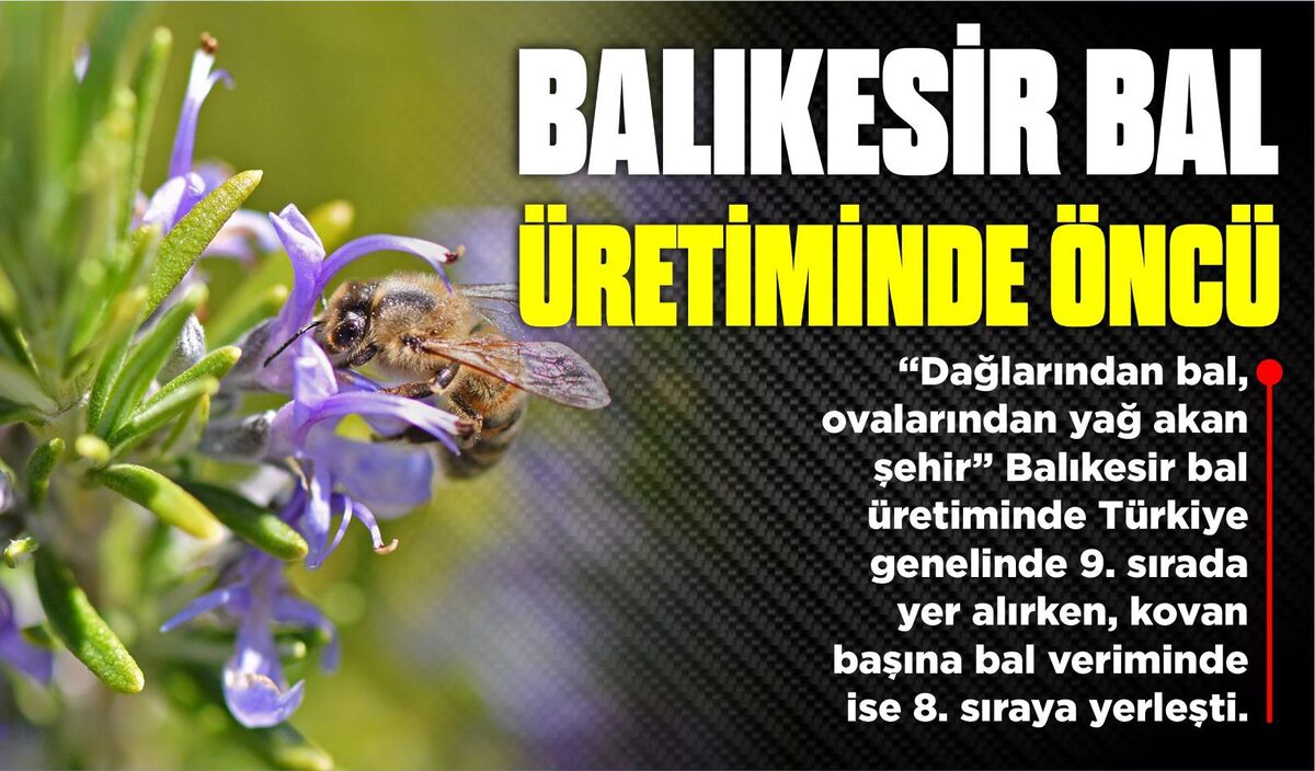 BALIKESİR BAL ÜRETİMİNDE ÖNCÜ