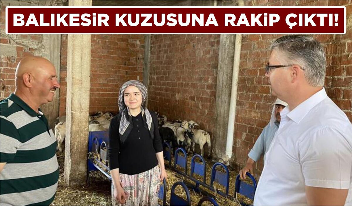 BALIKESİR KUZUSUNA RAKİP ÇIKTI!