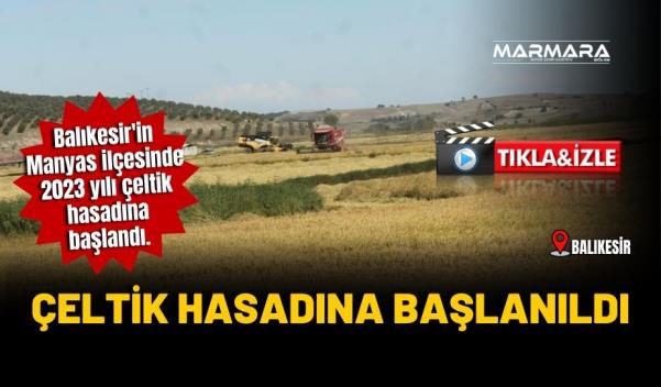 BALIKESİR’DE ÇELTİK HASADINA BAŞLANILDI