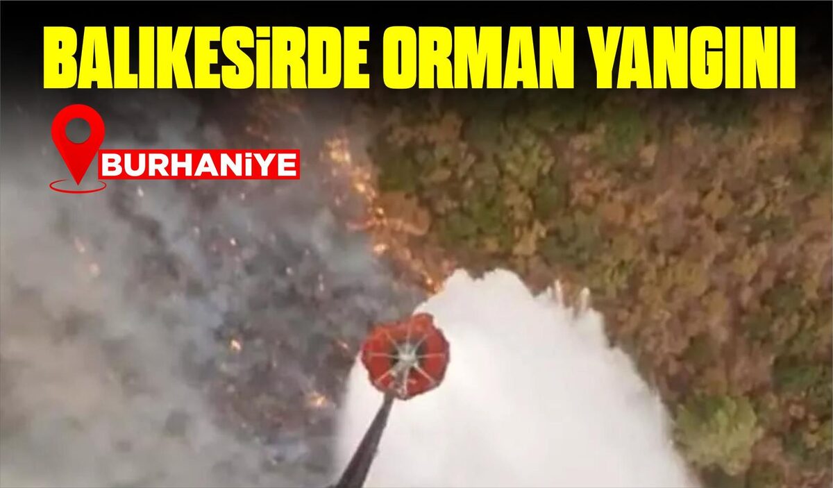 BALIKESİRDE ORMAN YANGINI