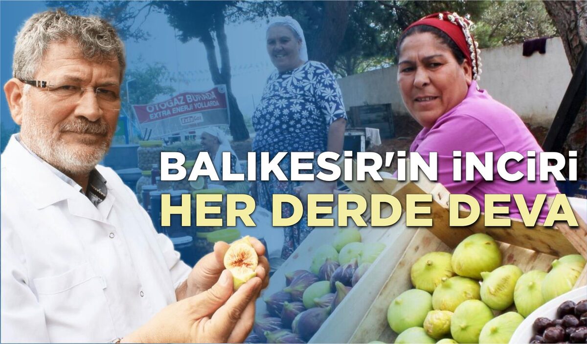 BALIKESİR’İN İNCİRİ HER DERDE DEVA