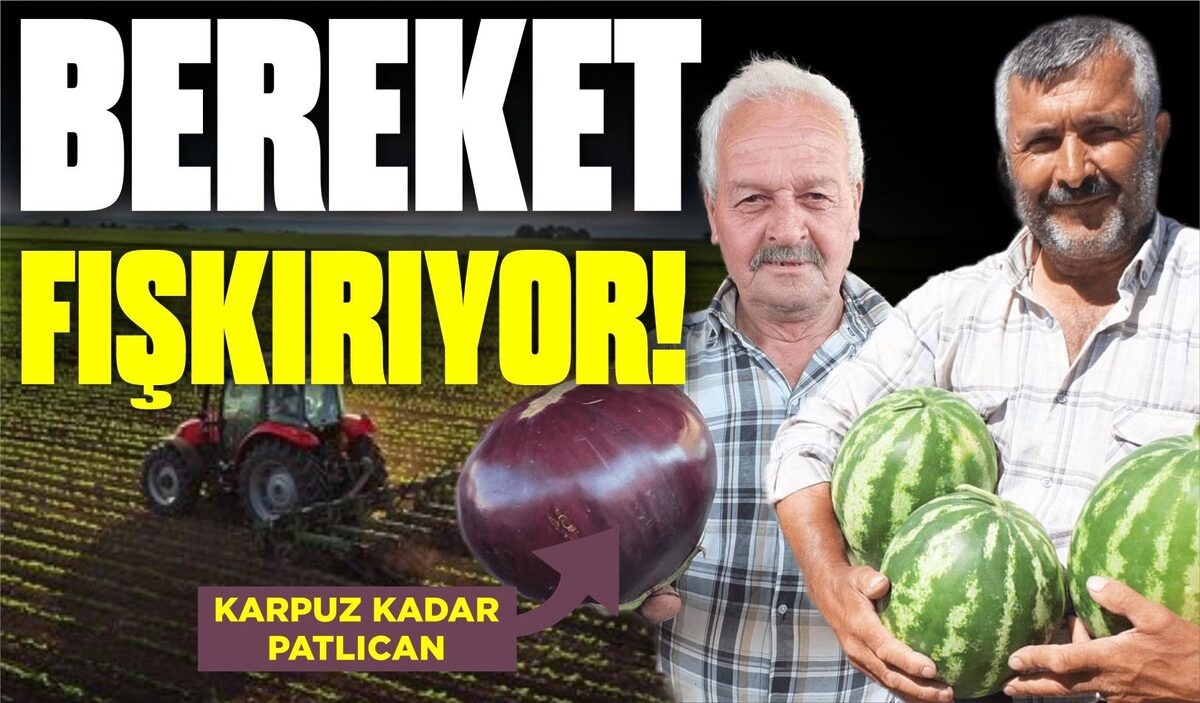 BALIKESİR’İN TOPRAKLARINDAN BEREKET FIŞKIRIYOR!