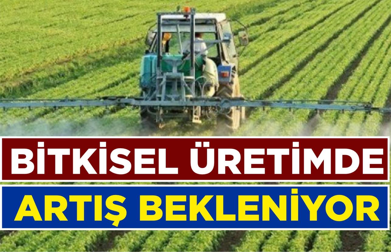 BİTKİSEL ÜRETİMDE ARTIŞ BEKLENİYOR